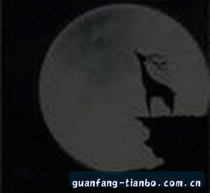 刘洋